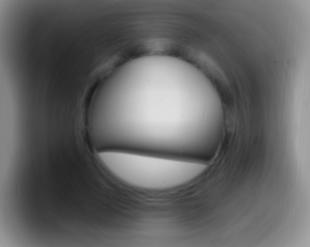 X0000099990740200805231043