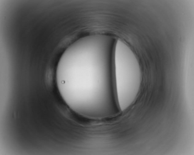 X0000099990742200805231043