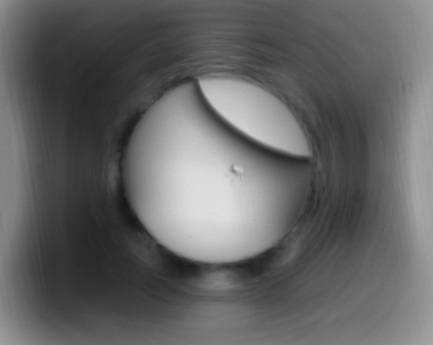 X0000099990746200805231044