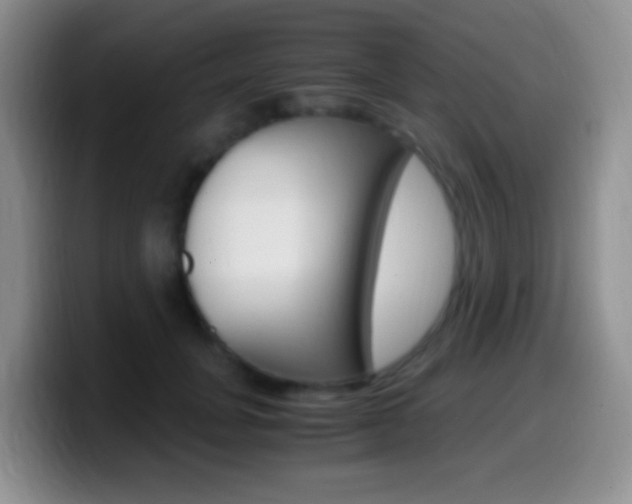 X0000099990751200805231044