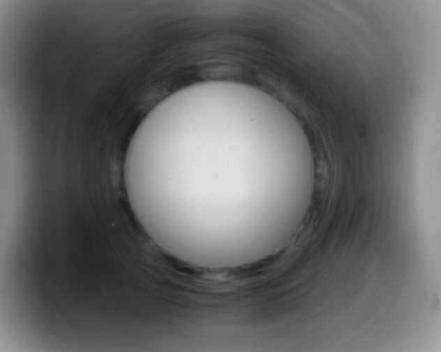 X0000099990753200805231044