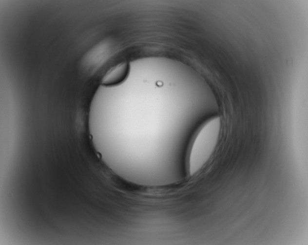 X0000099990758200805231044