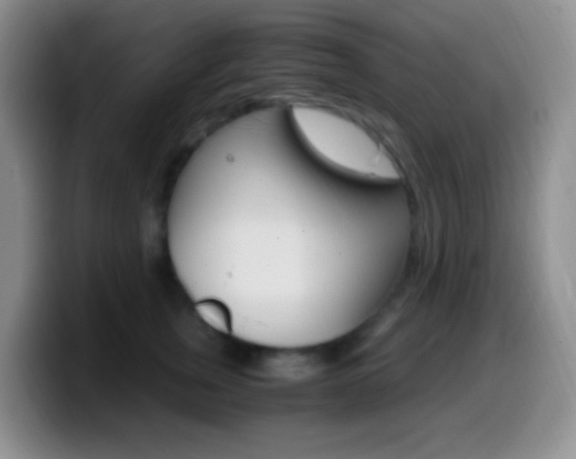 X0000099990759200805231044