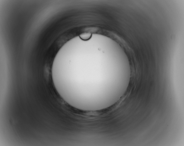 X0000099990761200805231044