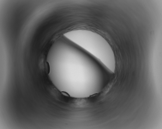 X0000099990762200805231044