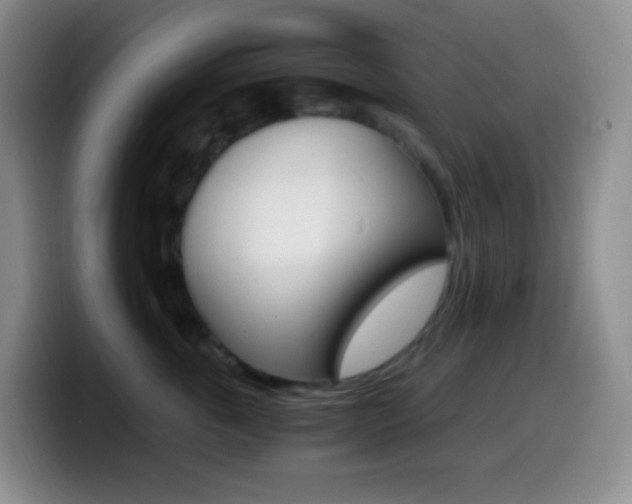 X0000099990763200805231044