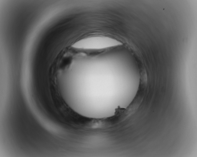 X0000099990764200805231044