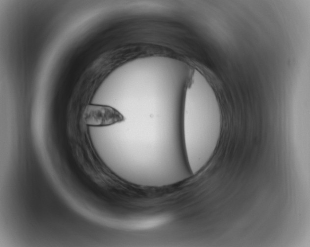 X0000099990765200805231044