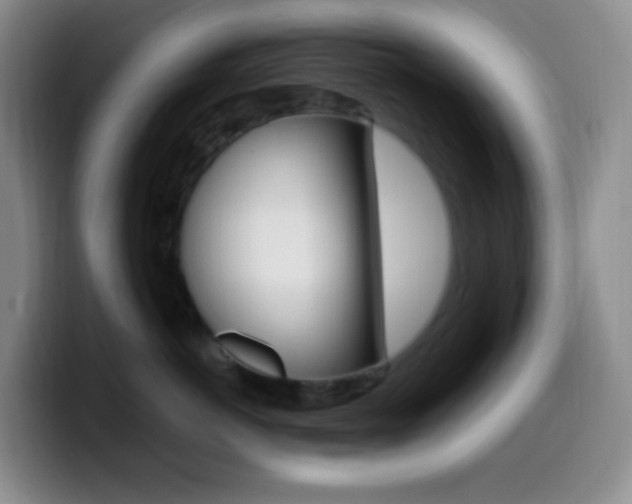X0000099990766200805231044