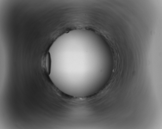 X0000099990768200805231044