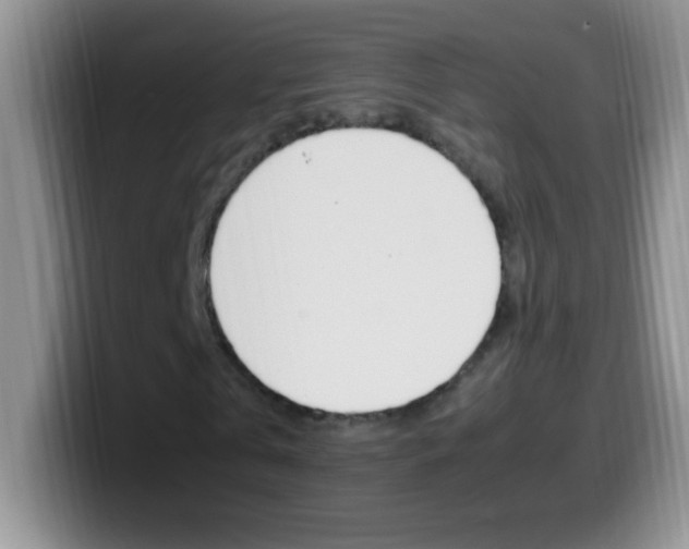 X0000099990769200805231043