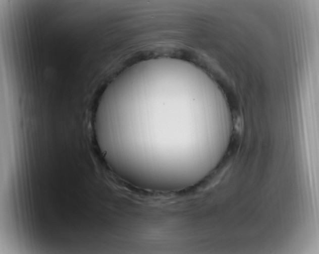 X0000099990771200805231043