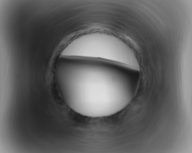 X0000099990776200805231043