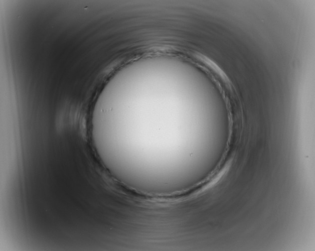 X0000099990777200805231043