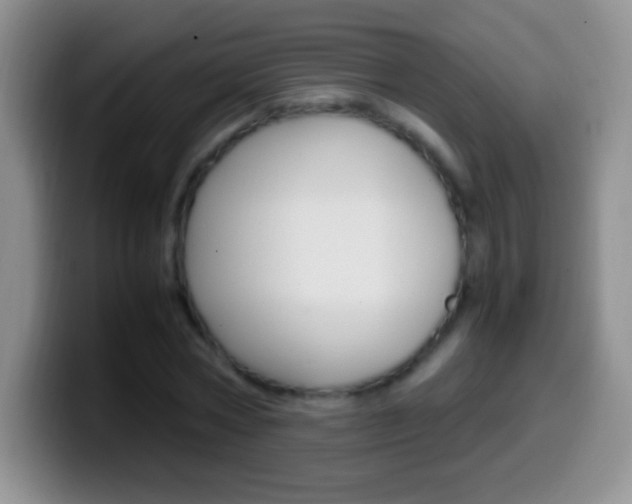 X0000099990778200805231043