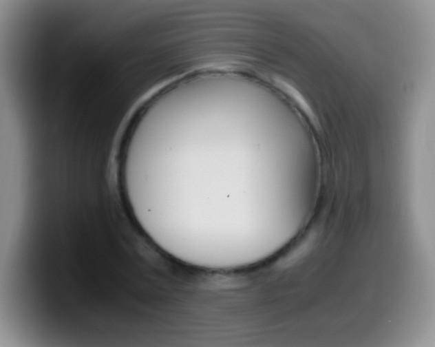 X0000099990779200805231043