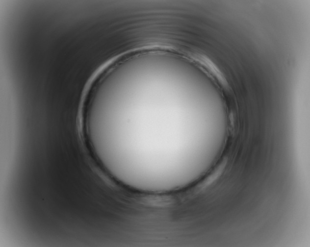 X0000099990780200805231043