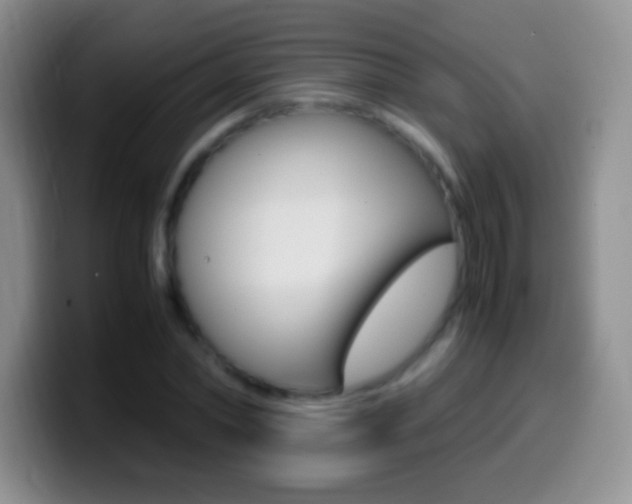 X0000099990782200805231043