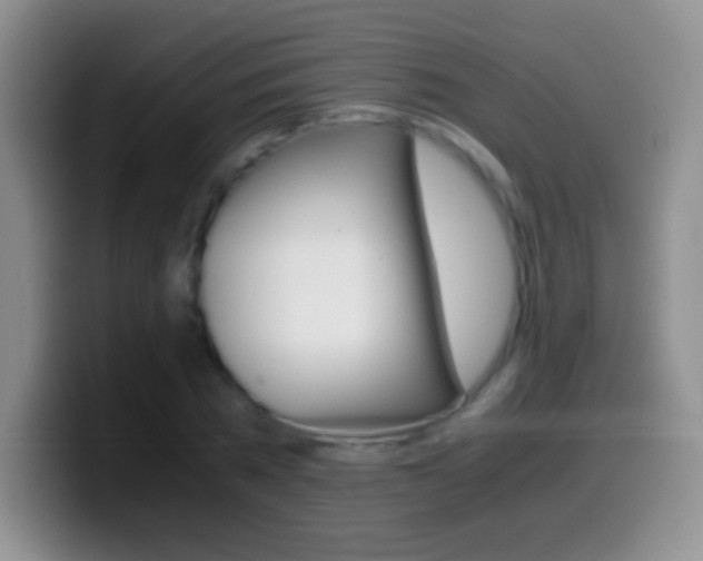 X0000099990785200805231043