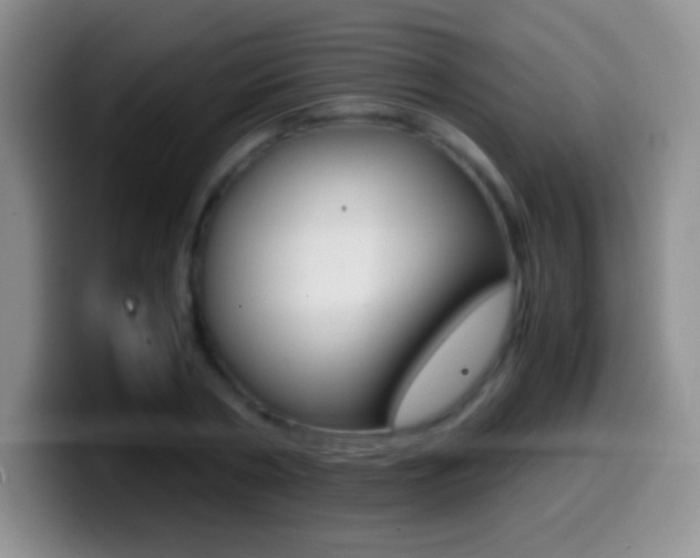 X0000099990786200805231043