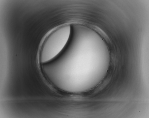 X0000099990788200805231043