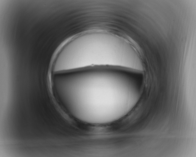 X0000099990796200805231043