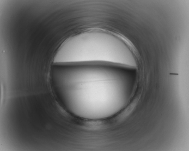 X0000099990801200805231043