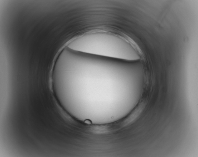 X0000099990802200805231043