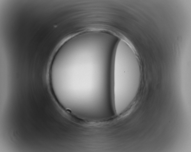 X0000099990803200805231043