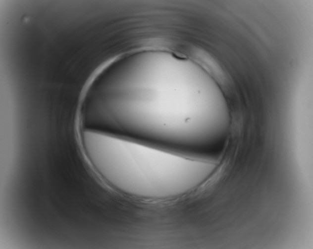 X0000099990804200805231043