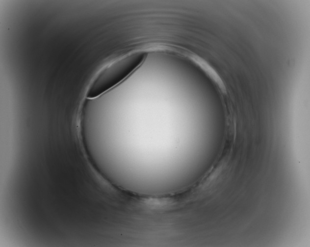 X0000099990805200805231043