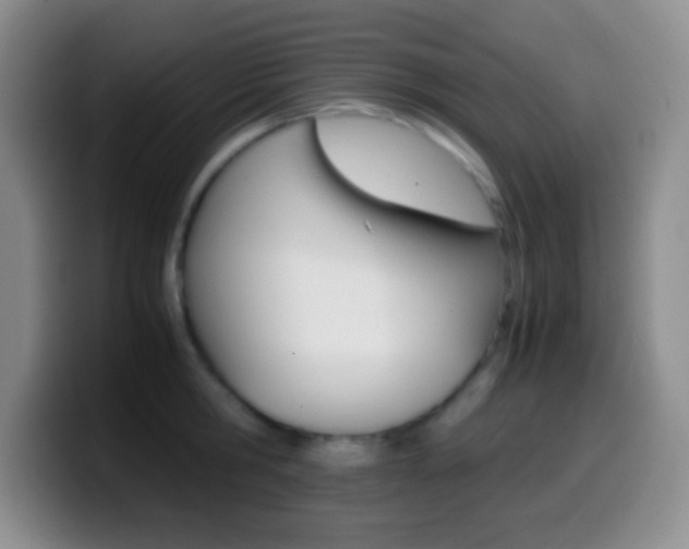 X0000099990806200805231043