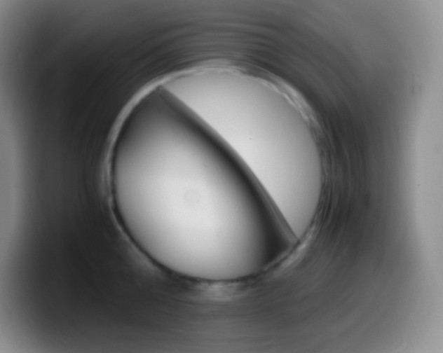 X0000099990808200805231042