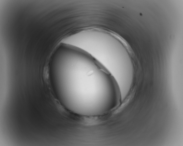 X0000099990809200805231042