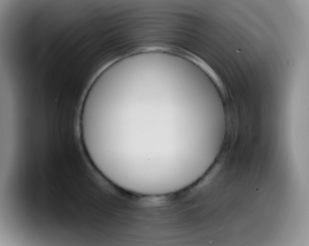 X0000099990810200805231042