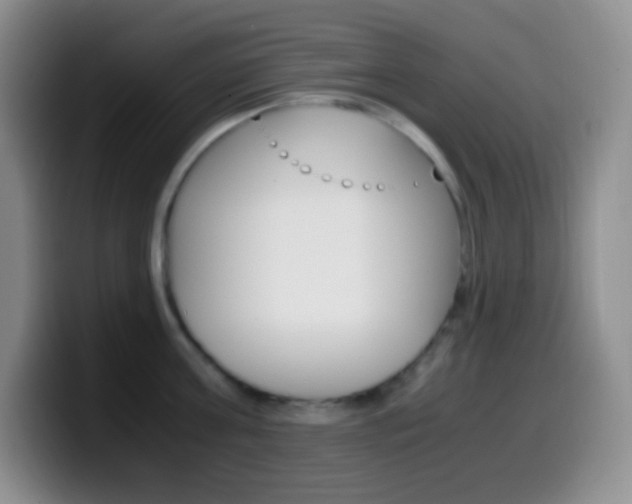X0000099990811200805231042