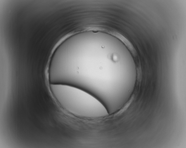 X0000099990814200805231042