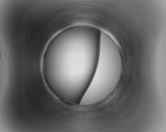 X0000099990815200805231042