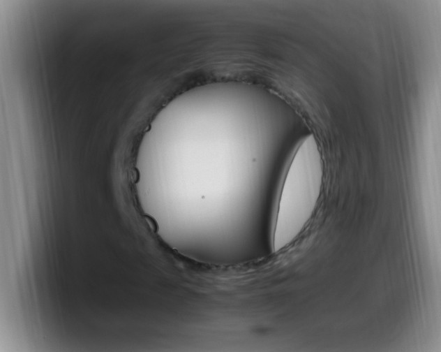 X0000099990817200805231042