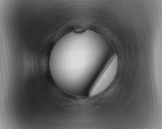 X0000099990818200805231042