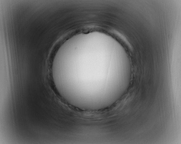 X0000099990823200805231042