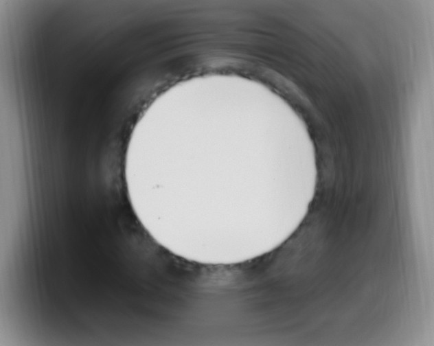 X0000099990824200805231042