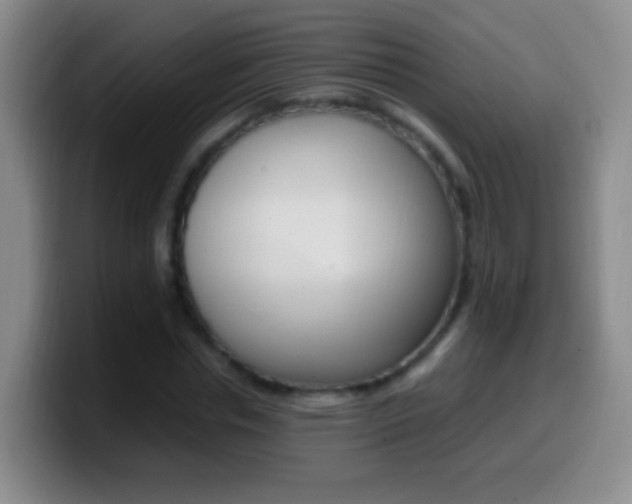 X0000099990826200805231042