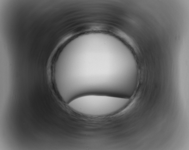 X0000099990827200805231042