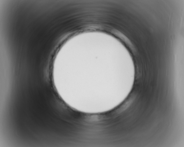 X0000099990828200805231042