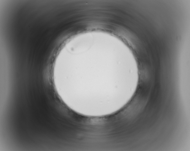 X0000099990832200805231042