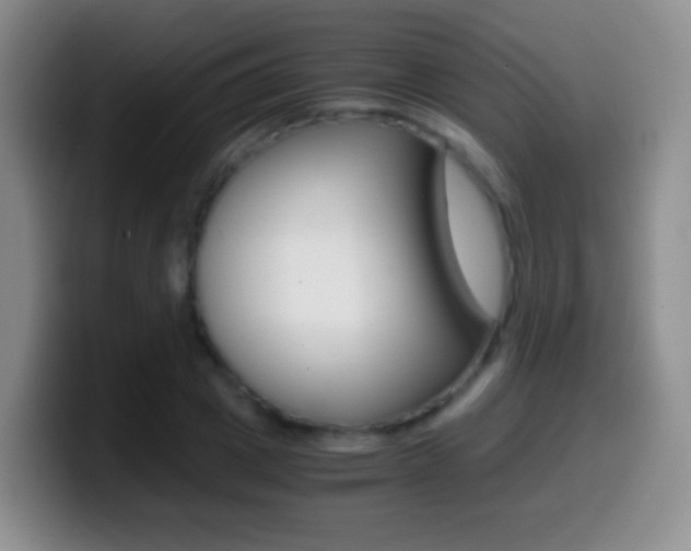 X0000099990833200805231042