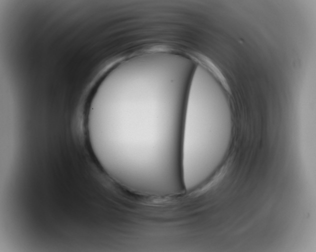 X0000099990835200805231042