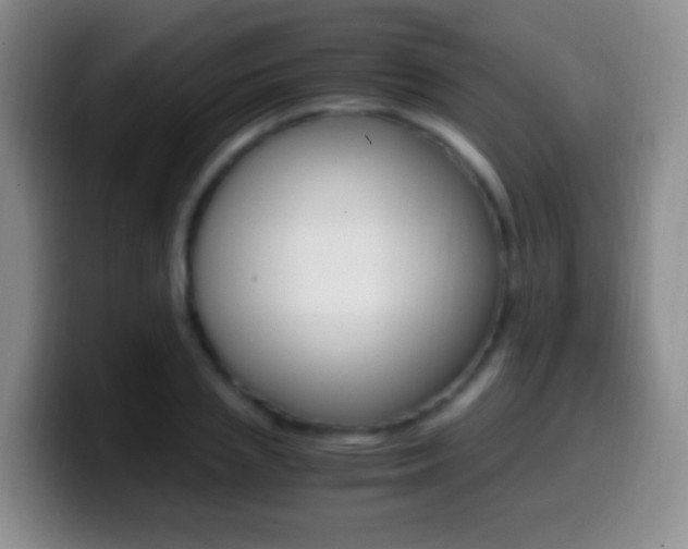 X0000099990837200805231042