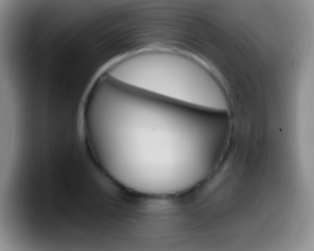 X0000099990838200805231042